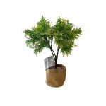 Planta Artificial Decore Plástica con Estopa